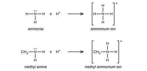 Amine Vs Amide Structure