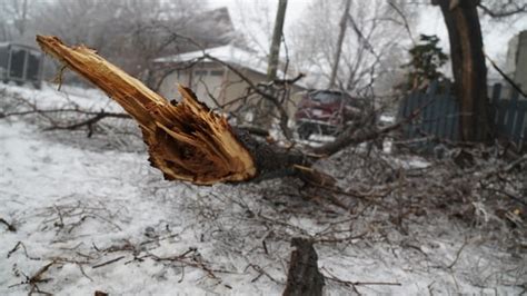 Take a look at what Wednesday's April ice storm did to the region | CBC ...