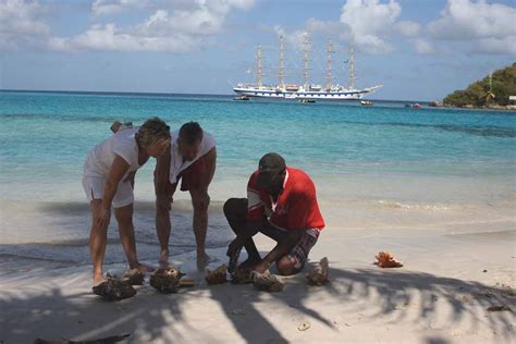 Adventure Cruising UK: Wildlife Watching in the Caribbean