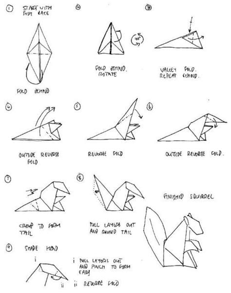 Origami Instructions sqirrel 3D | Origami and Cool Crafts | Pinterest ...