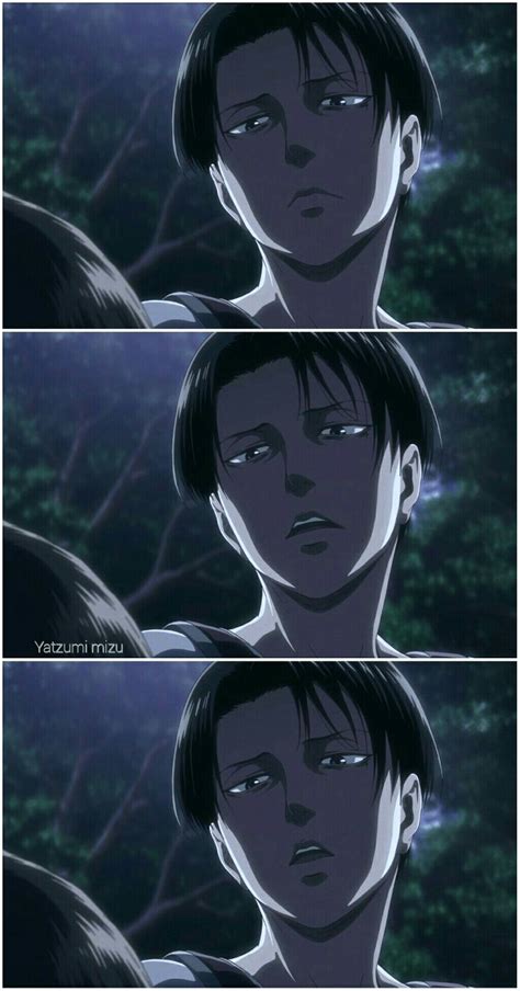 Levi Ackerman | AoT | season 3 | Oh that last pic tho 😂 | Attack on titan levi, Attack on titan ...