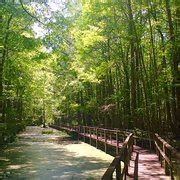 Francis Marion National Forest - 2019 All You Need to Know BEFORE You ...