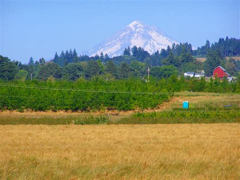 Mount Hood as seen from Molalla Forest Road in Canby, Oregon image - Free stock photo - Public ...