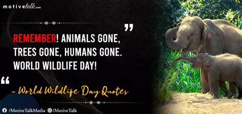 Top 28 Best World Wildlife Day Quotes - A Day For Wildlife - Motive Talk