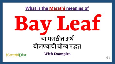 Bay Leaf Meaning in Marathi - MarathiDict