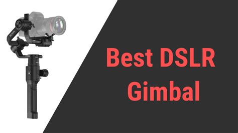 Best Gimbals For DSLR Cameras in 2024 | Unbiased Reviews & Top Picks ...