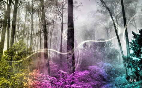 Enchanted Forest Backgrounds - Wallpaper Cave