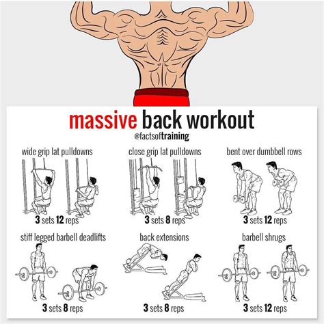 Back works out | Back workout, Gym workout chart, Workout programs