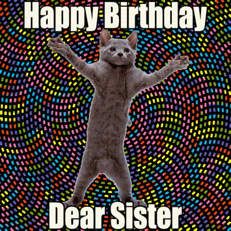 Dancing Cat Happy Birthday Sister GIF | GIFDB.com