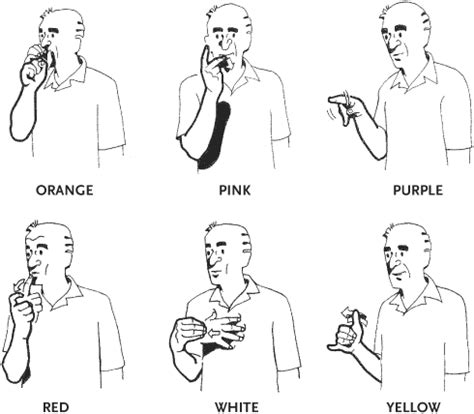 McGrawHill SignLanguage colors American Sign Language Phrase Book ...