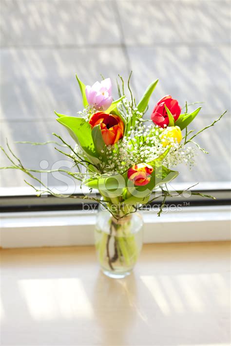 Spring Bouquet With Tulips Stock Photo | Royalty-Free | FreeImages