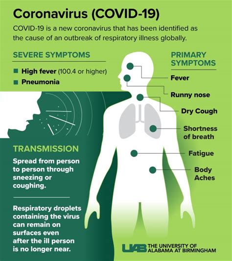 How to prepare yourself in the midst of a pandemic | The Birmingham Times