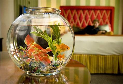 Top 10 Hotels That Offer “Suite” Pet Amenities | PetGuide