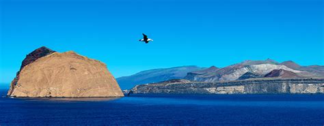 Conservación de islas | Prevenir extinciones y proteger a las especies y hábitat insulares