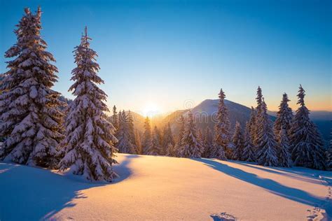 Magic Sunrise in the Winter Mountains after Snowfall Stock Image ...