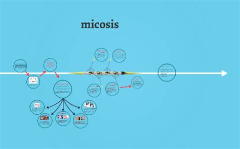 micosis by on Prezi