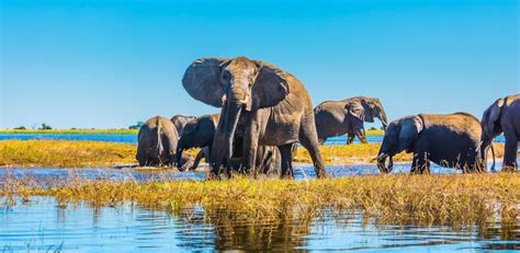 Best Botswana Tours & Holidays | Group & Guided Tours Botswana