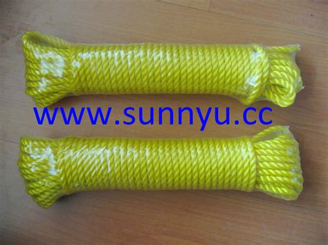 Professional Factory PE Colored 1" Twisted Stanchion Rope - China Stanchion Rope and Twisted ...
