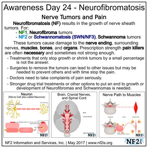 Neurofibromatosis Type 3