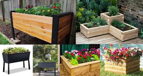 How to Create a Container Garden - Garador