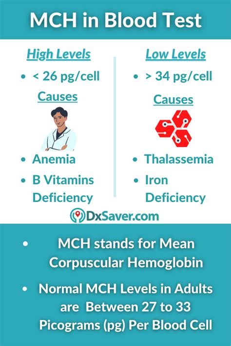 What is MCH in Blood Tests? | MCH Blood Test Normal, High & Low Levels ...