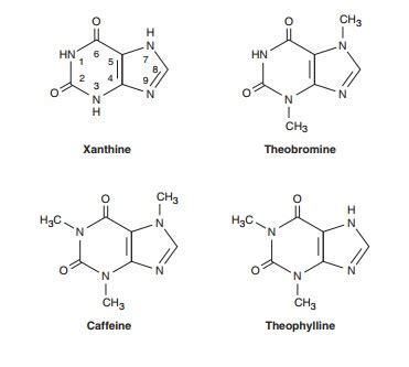 Methylxanthine Drugs - Basic Pharmacology of Agents Used in the ...