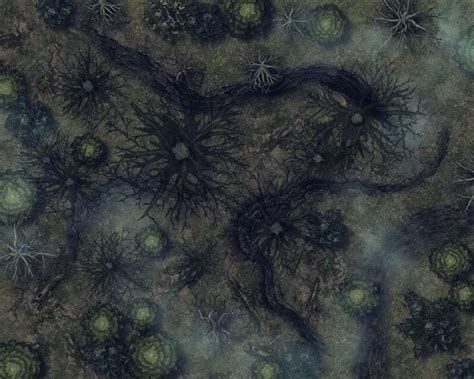 Misty Forest [Two Battle maps][30x24][25x20] : battlemaps | Misty forest, Fantasy town, Battle