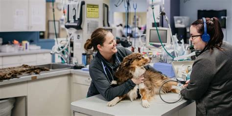 Home - Veterinary Specialty Center