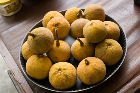 17 Best images about Santol Fruit on Pinterest | Pork, Mauritius and San mateo