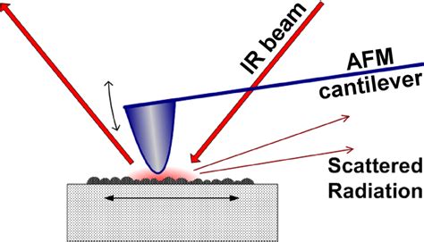 Basis of apertureless near-field scanning infrared microscopy. | Download Scientific Diagram