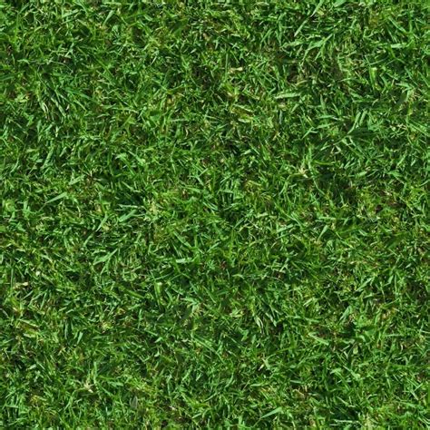 grass png texture 10 free Cliparts | Download images on Clipground 2024