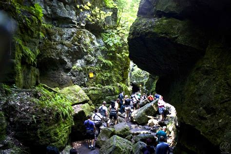 Zip Lining At Scenic Caves Nature Adventures - The Curious Creature