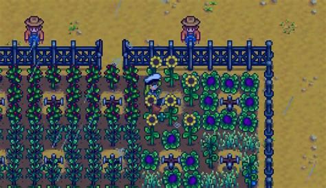 Stardew Valley: Top 5 Worst Crops Not Worth Growing – FandomSpot