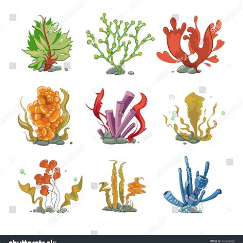 Seaweed Drawing at GetDrawings | Free download