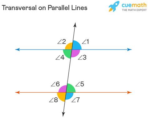 Transversal Lines Angles Definition Video Examples | Hot Sex Picture