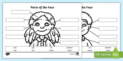 Parts of the Body Face Labelling Worksheet (teacher made)