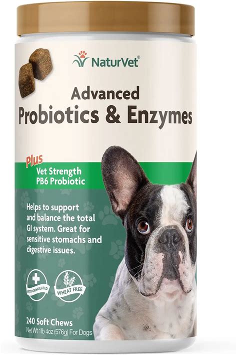 Best probiotics for dogs in 2024-2025