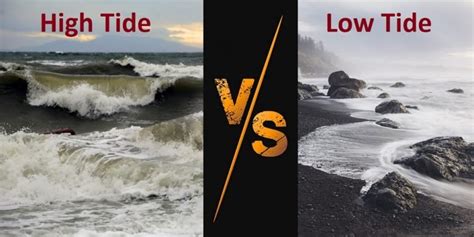 High Tide Vs. Low Tide: What Are The Differences? – Difference Camp