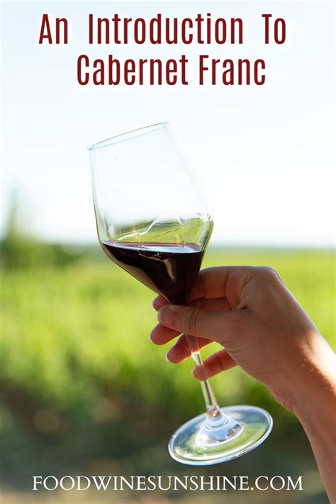 An Introduction To Cabernet Franc Wine in 2020 | Cabernet franc, Vegan ...