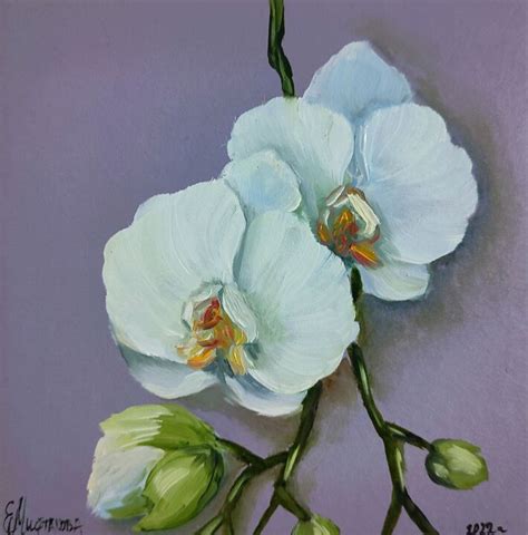 Orchid Painting Original Art White Flowe, Painting by Elena Miftakhova | Artmajeur