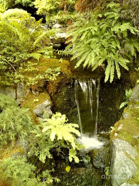 Mossy Rock Waterfall Photograph by Loretta Bueno - Fine Art America