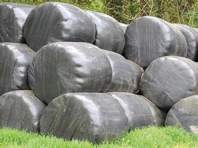 Silage Bales For Sale in Durrow, Laois from donedealuser (#43fc83)