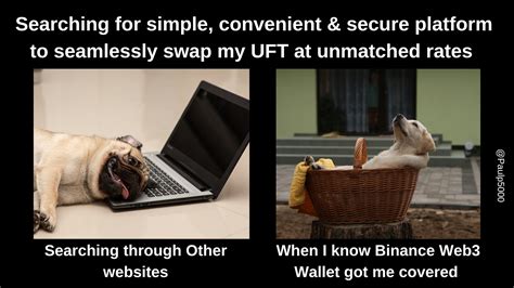 My Entry UniLend x Binance Web3 Wallet Meme Contest : r/UniLend