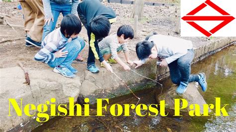 Exploring Negishi Forest Park | Yokohama Travel Vlog 2020 🇯🇵 - YouTube