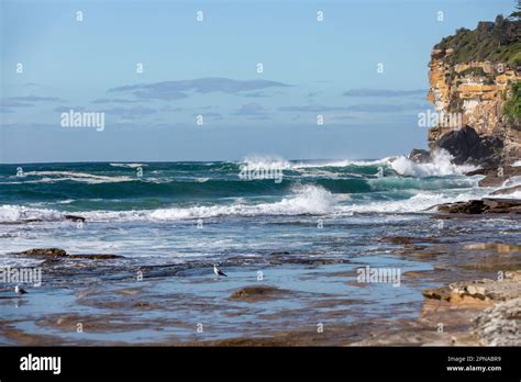 Dee Why Beach Stock Photo - Alamy