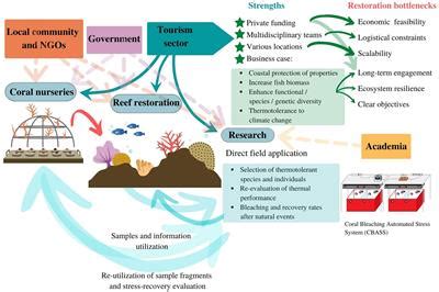 Frontiers | All-inclusive coral reef restoration: How the tourism sector can boost restoration ...