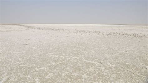 India’s surreal salt desert - BBC Travel