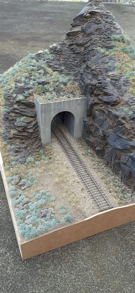 a model train coming out of a tunnel with grass growing on the ground ...