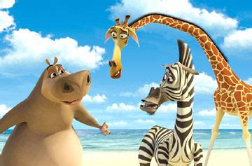 Marty, Melman and Gloria - Melman the Giraffe Photo (24316300) - Fanpop