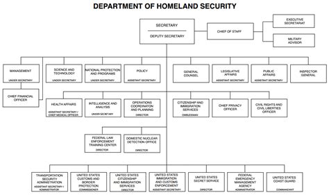 Dhs Organization Chart - Ponasa